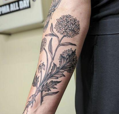 Hydrangea tattoo