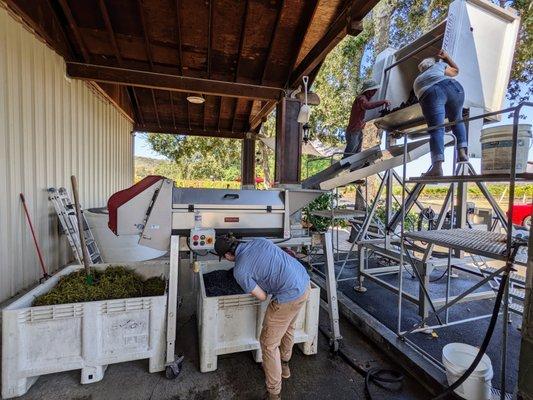 Stop 1 of 3. Loxton Cellars. ENOTOOLS Vega 10 de-stemmer machine. That's owner Chris Loxton up top with Christy, getting the grapes out.