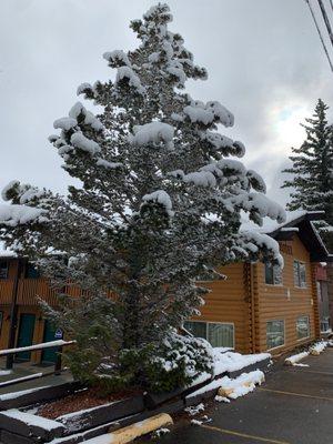 From the top parking area (near the road). Beautiful snow covered trees. The top windows were our room.