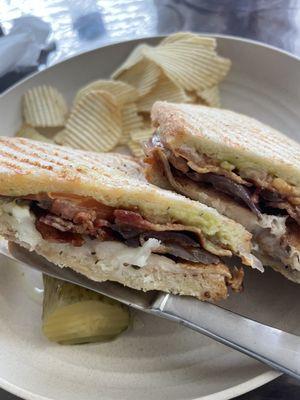 Grilled chicken panini