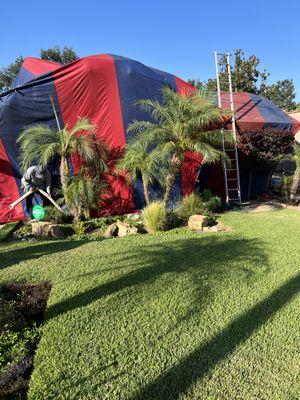 The pest TENT this tent will get rid of any and everything your home will be clean and rid of pest