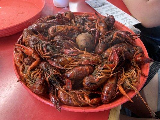 Three pounds of boiled crawfish for the wifey and my son.