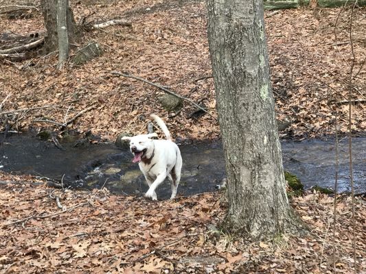 Woods and Lake trip. Look at the smile on her.