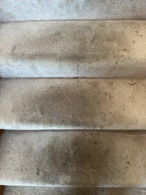 Carpet Cleaning Services: Before Cleaning