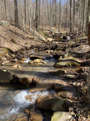 Creek that runs behind the cabin. I loved to hear this every morning and every night while enjoying the Shawnee!