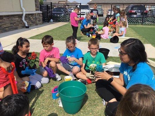 Planting our own garden.