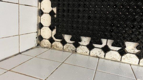 Water does not drain in showers and the shower floors are extremely dirty