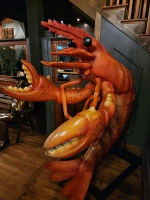 Lobster