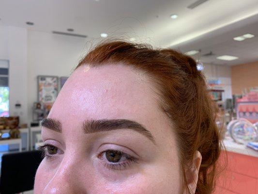 Brows by Daniella