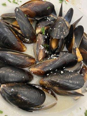 Mussels