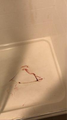 Purge blood from my sisters nose when the cop lifted her dead body off the walk in shower floor.