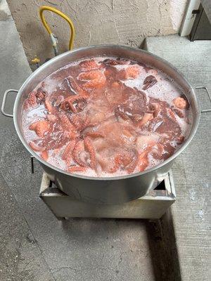 Pulpo delicias