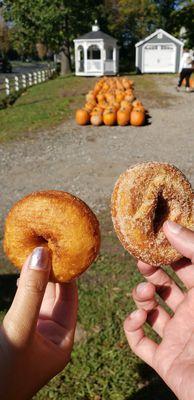 Apple cider donuts!