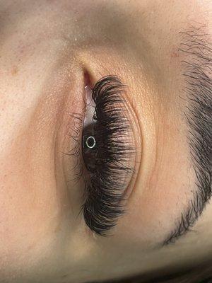 Lash Extensions