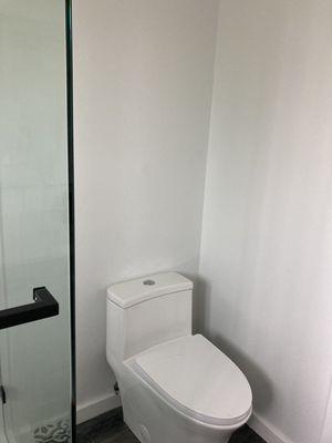 Bathroom Remodel with single piece skirted toilet