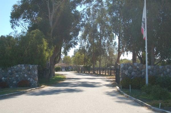 our driveway