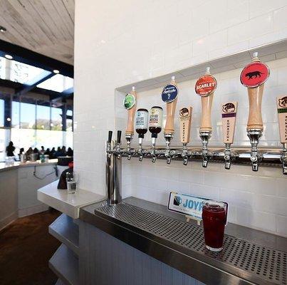 We have kombucha on tap!