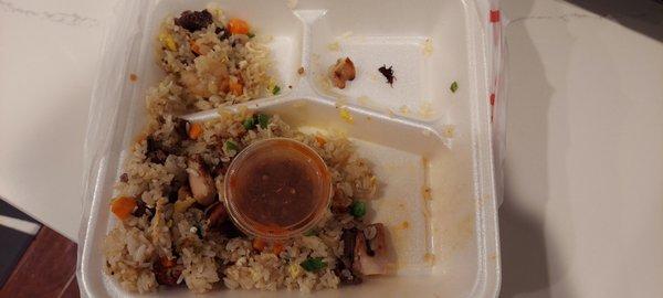 Combo fried rice with fried bug