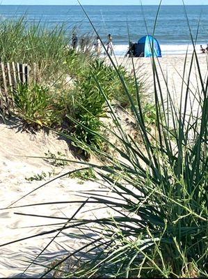 The beach is within walking distance of Shalom Pita  ,  one can literally walk from the heart of Atlantic City using The Boardwalk...