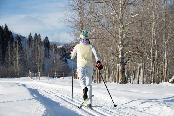 Backcountry Safaris offers scenic wildlife tours of Yellowstone and Grand Teton National Parks from Jackson Hole, Wyoming...