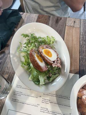 Scotch egg