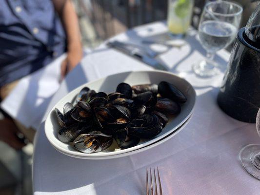 Steamed Mussels