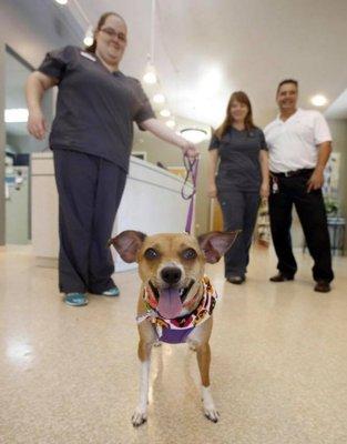 Emily, Sophia, Dr. Winter & Adam w/ the SPCA.