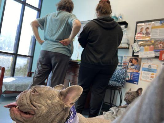 Happy pup enjoying his time with Dr. Johnson and staff. All smiles here.