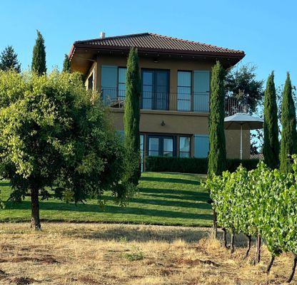 View of our room from vineyard