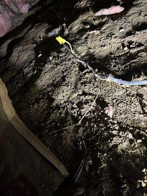 Wires left live in crawl space