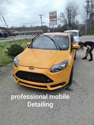 Professional  Detailing