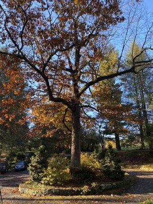 Highland Lake Inn