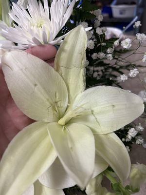 Look how damaged the lilies were.. two were broken off