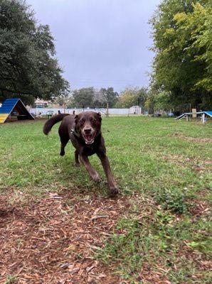 KoKo having a blast at daycare!