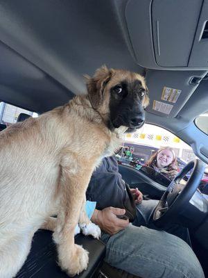 Emma giving our dog a treat during the service of our vehicle