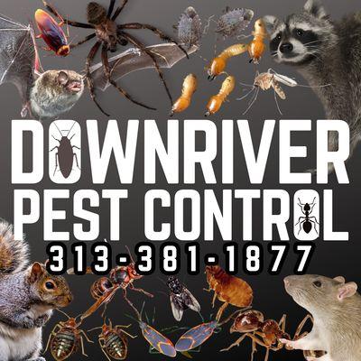 Downriver Pest Control