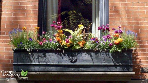 Window Planter Box/Seasonal Color 
         Brooklyn NY