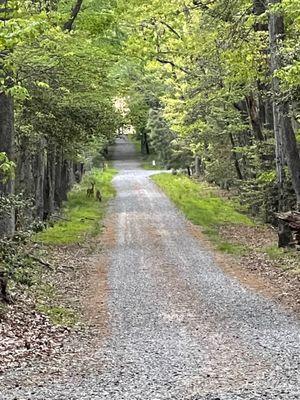 Trail to campsite