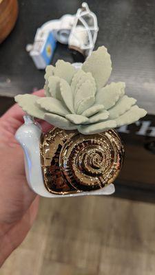 Cute snail wallflower plug