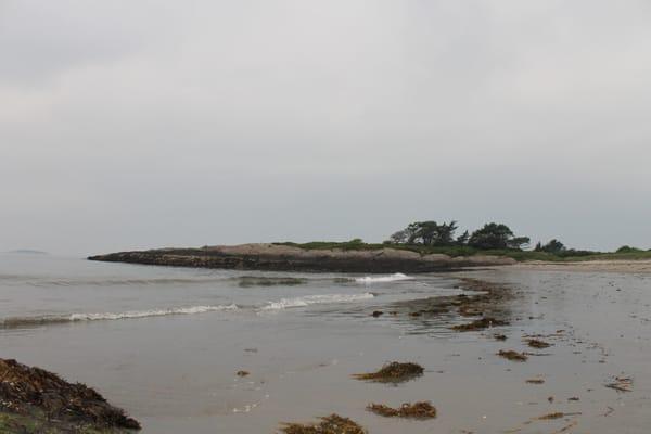 sand dune beach