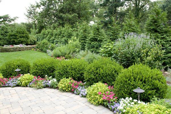 Ornamental Tree and Shrub Care