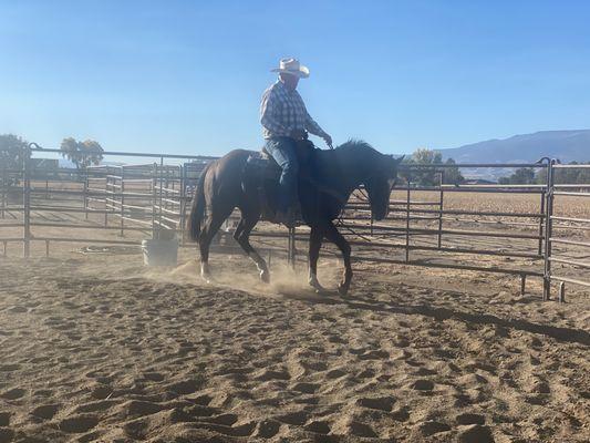 Jeff Avaritte training a young colt