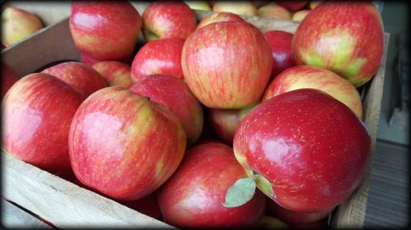 Honeycrisp apples!