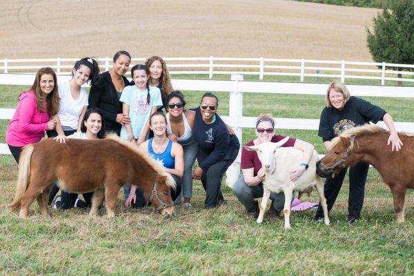 Mini Horse and Goat Yoga!