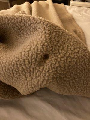 Burn holes on bedding.