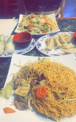 Egg fried noodles with beef and steamed veggies, egg fried noodle with seafood and steamed veggies. Steamed gyozas and spring rolls