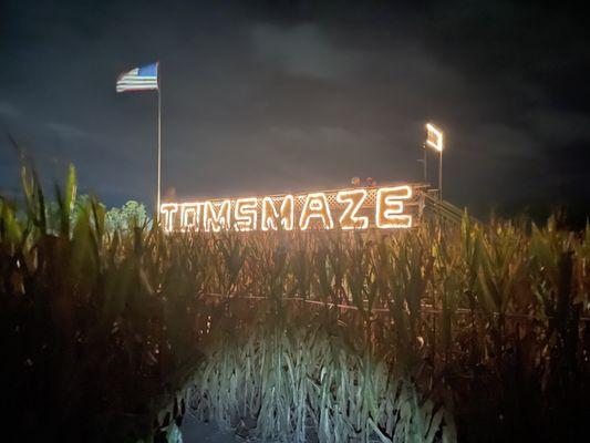 This amazing maize maze!