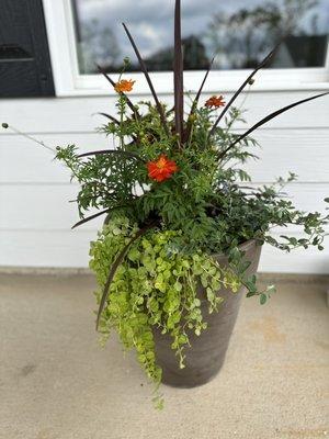 Beautiful Fall planters are being installed today! Don't miss your chance to have a stunning centerpiece for your home this Fall season!