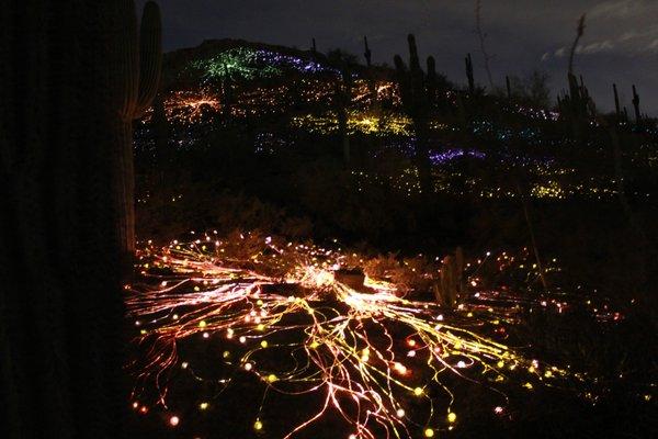 Desert floor lights guide you along the way.