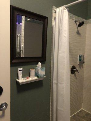 Shower area and shelf with earplugs, q-tips, and tissues.